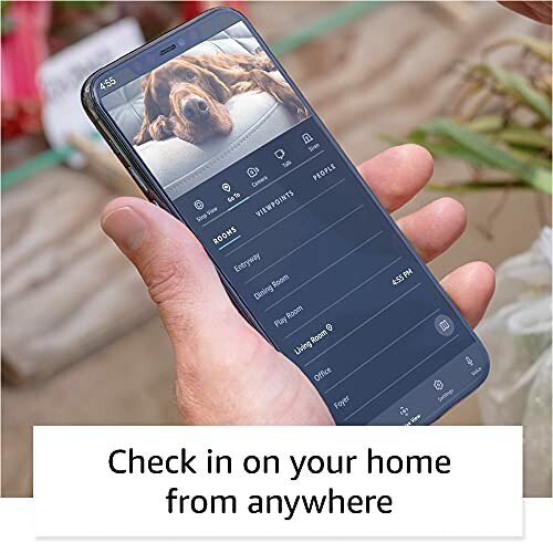 Person holding smartphone with home monitoring app showing a dog on screen. 